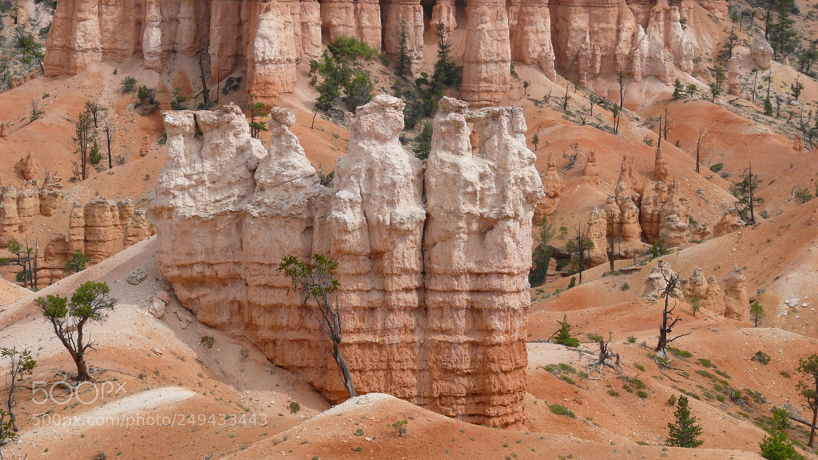 Panasonic DMC-FZ50 sample photo. Bryce canyon photography