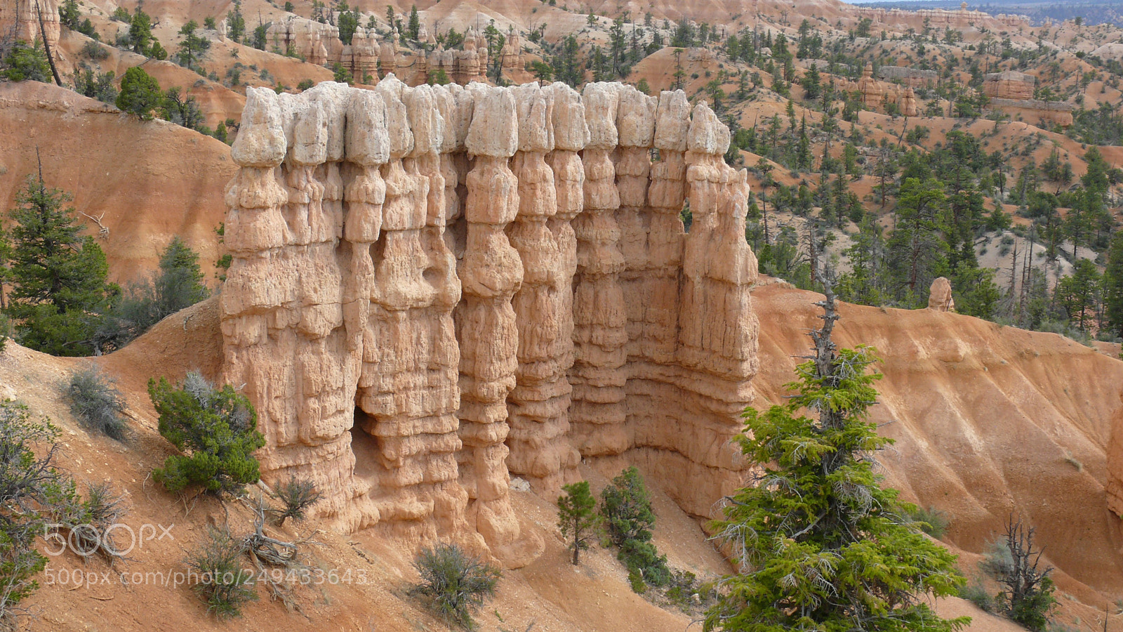 Panasonic DMC-FZ50 sample photo. Bryce canyon photography