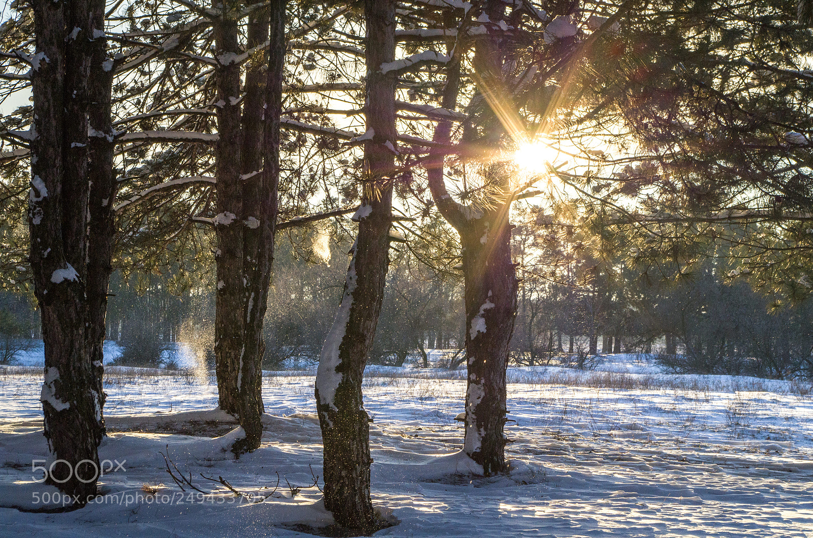 Pentax K-30 sample photo. Sunny day in the photography