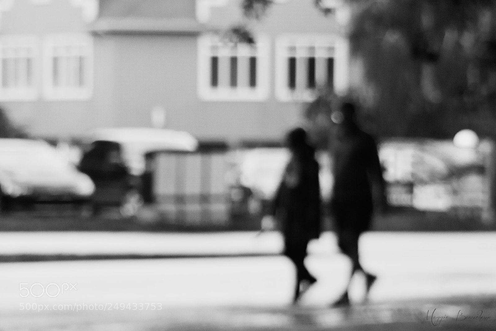 Panasonic Lumix DMC-FZ200 sample photo. A walk photography