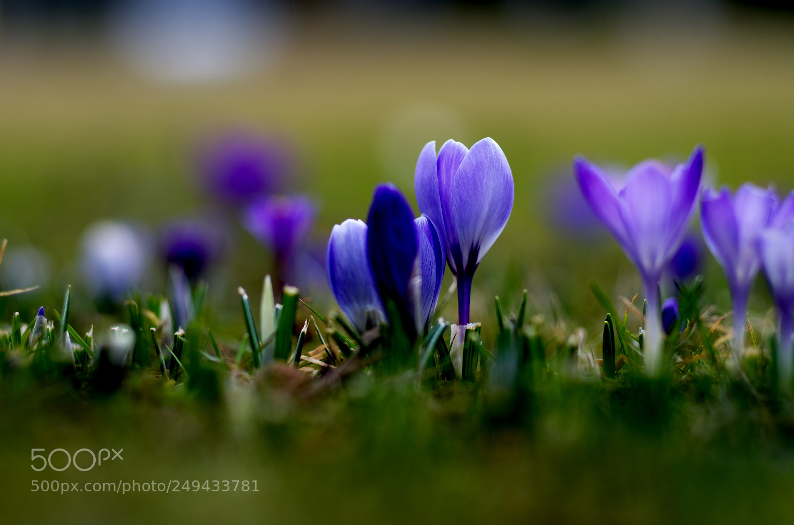 Pentax K-30 sample photo. Development photography