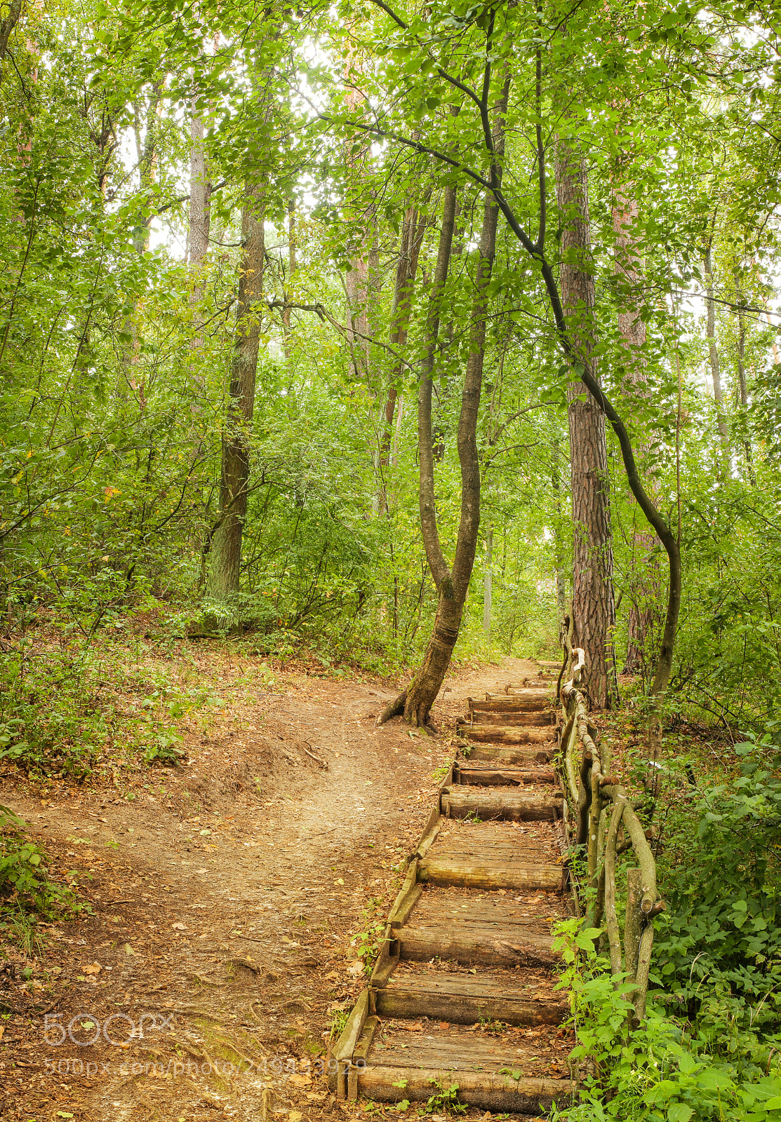 Canon EOS 650D (EOS Rebel T4i / EOS Kiss X6i) sample photo. Stairs. big size photography