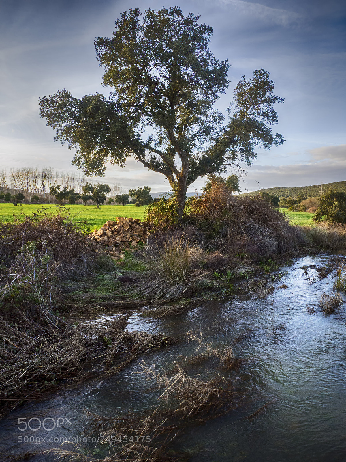 Olympus OM-D E-M10 sample photo. Arroyo de las pe photography