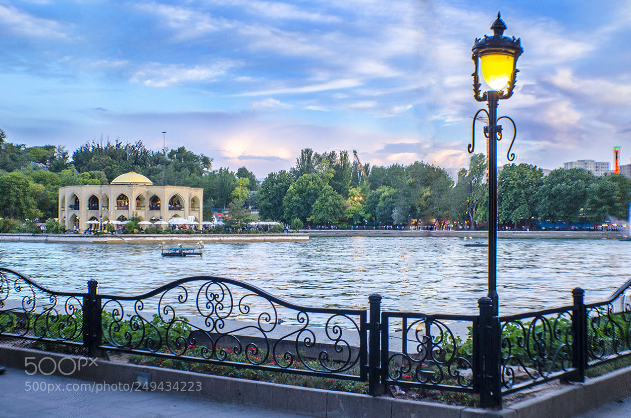Nikon D7000 sample photo. Shahgoli photography