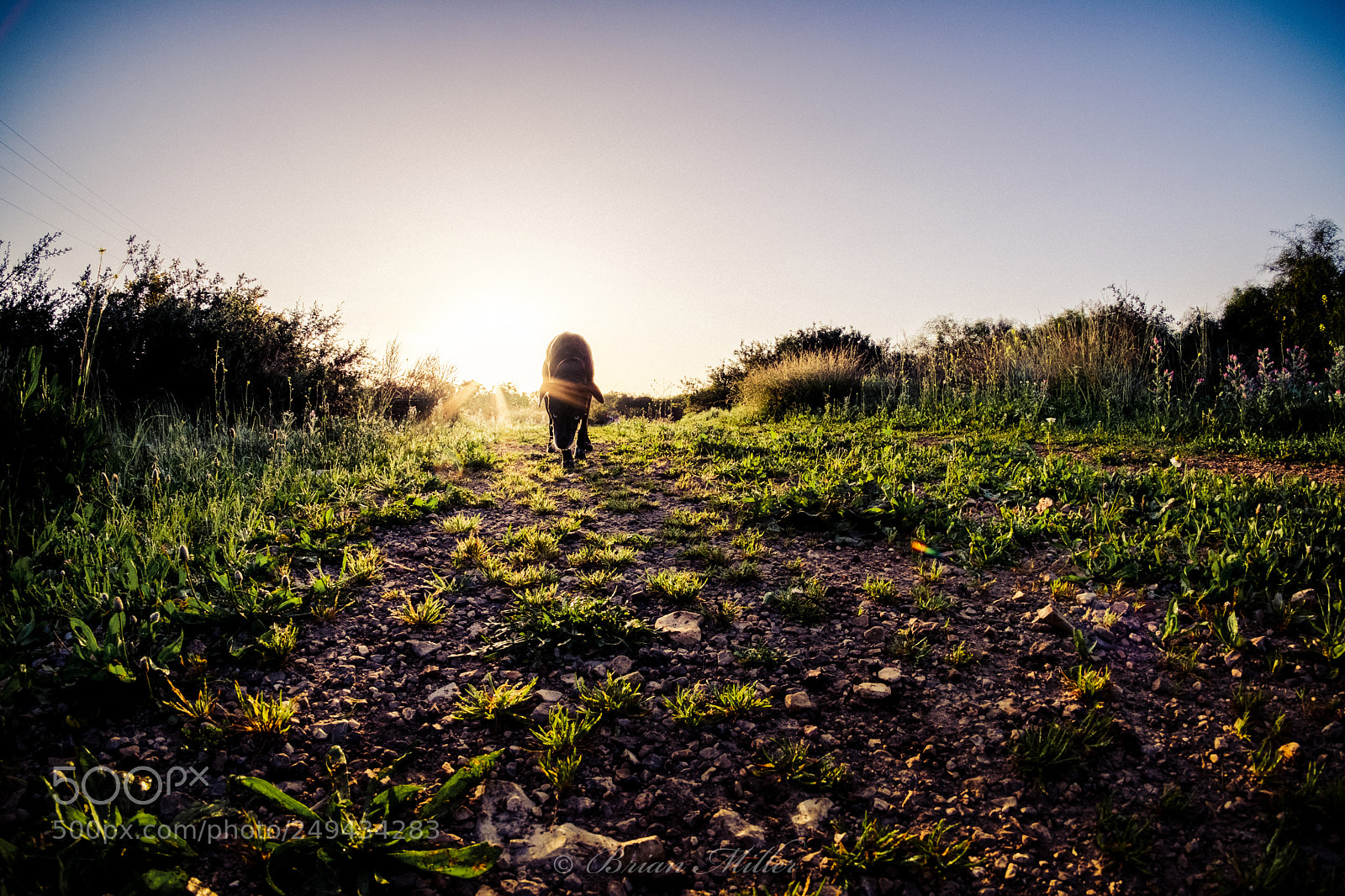Fujifilm X-T2 sample photo. Nature walk photography