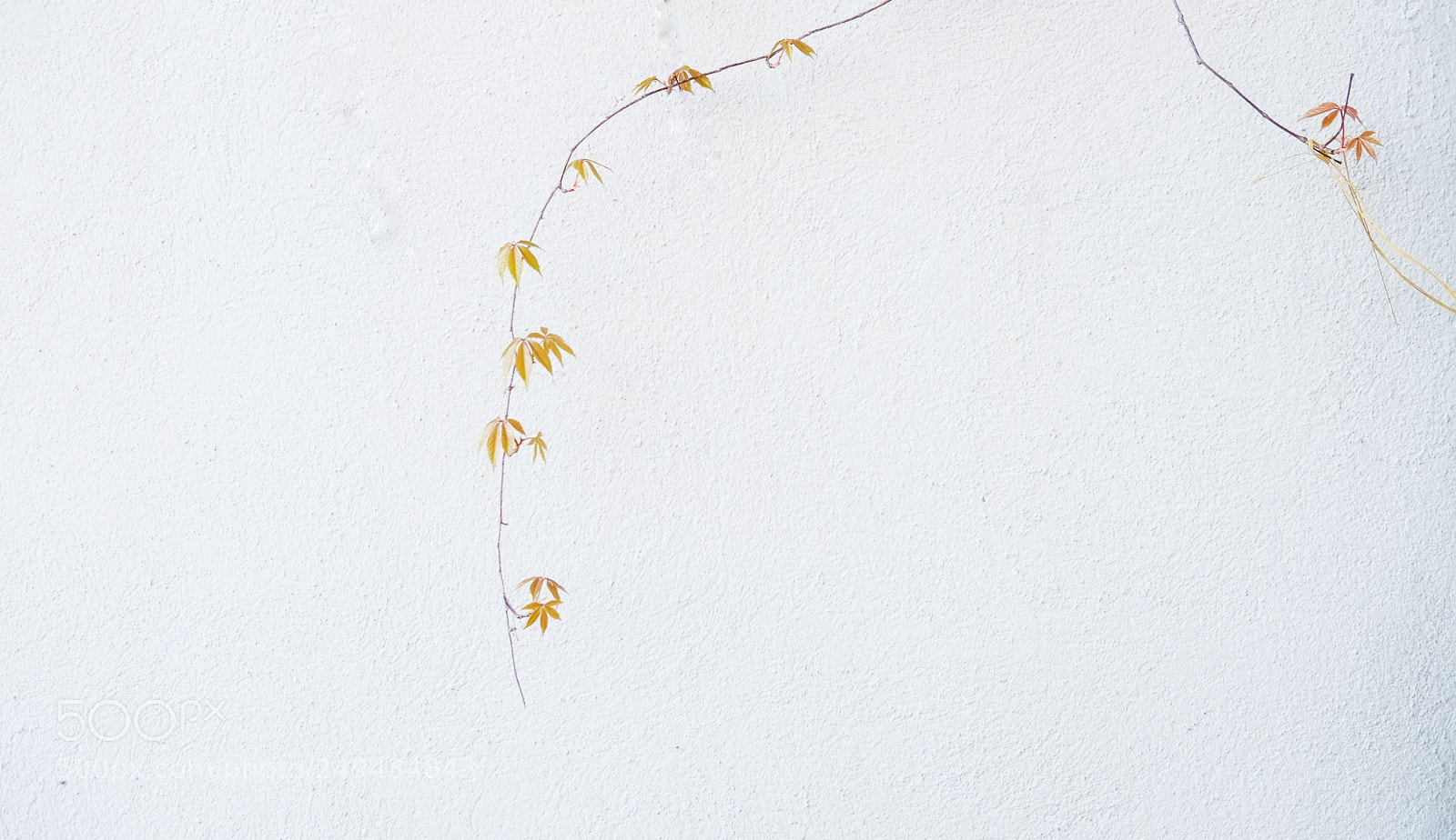Fujifilm X-T10 sample photo. Minimal photography