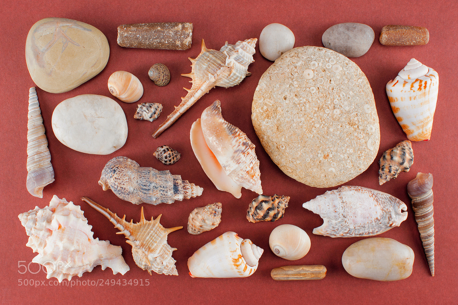 Nikon D700 sample photo. Set of various sea photography