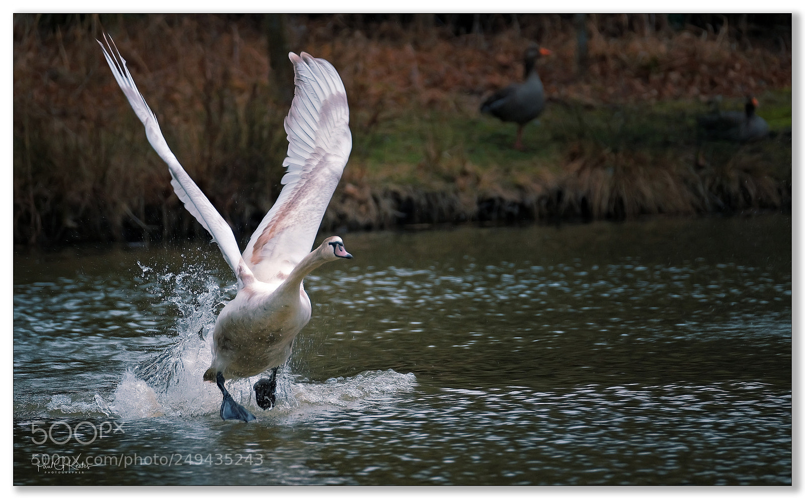 Fujifilm X-H1 sample photo. Lift off .... photography