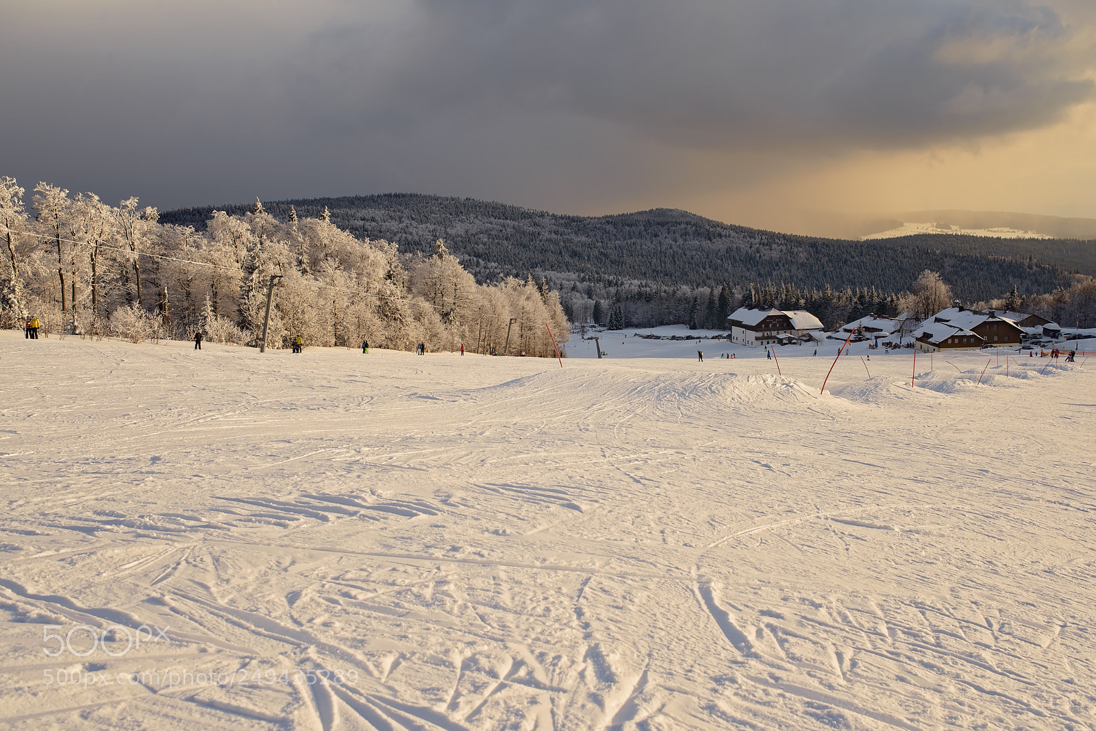 Nikon D800 sample photo. Golden hour photography