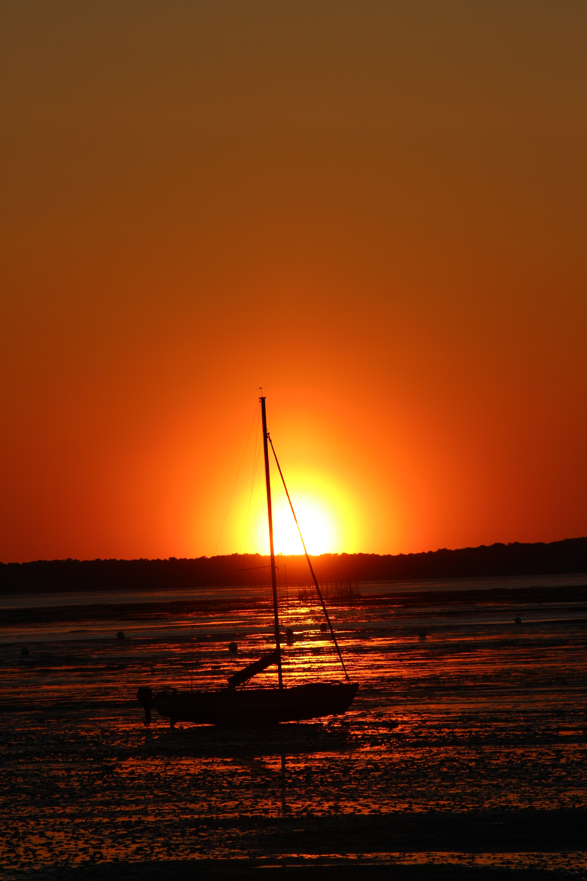 Canon EF 75-300mm f/4-5.6 sample photo. Andernos les bains photography