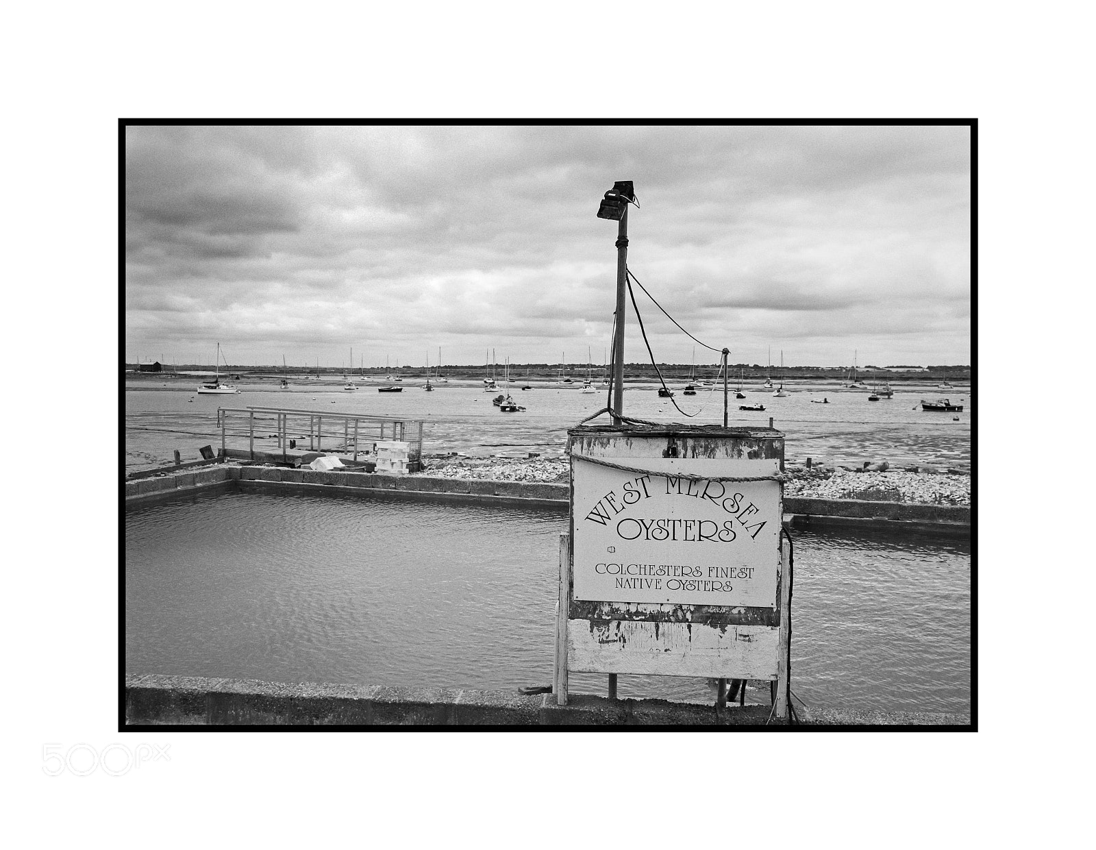 Fujifilm X-T1 sample photo. Colchester natives photography
