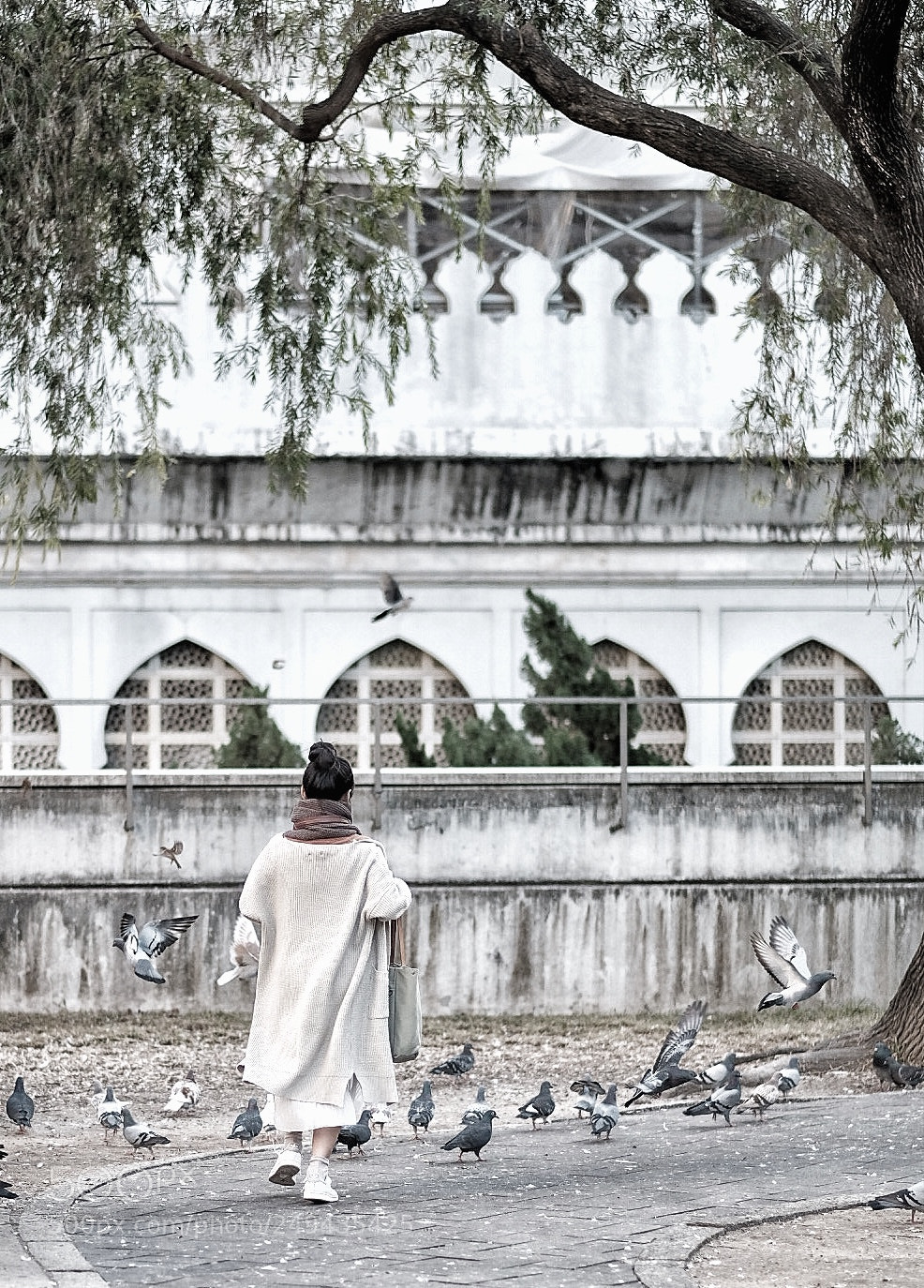 Fujifilm X-T2 sample photo. Untitled photography