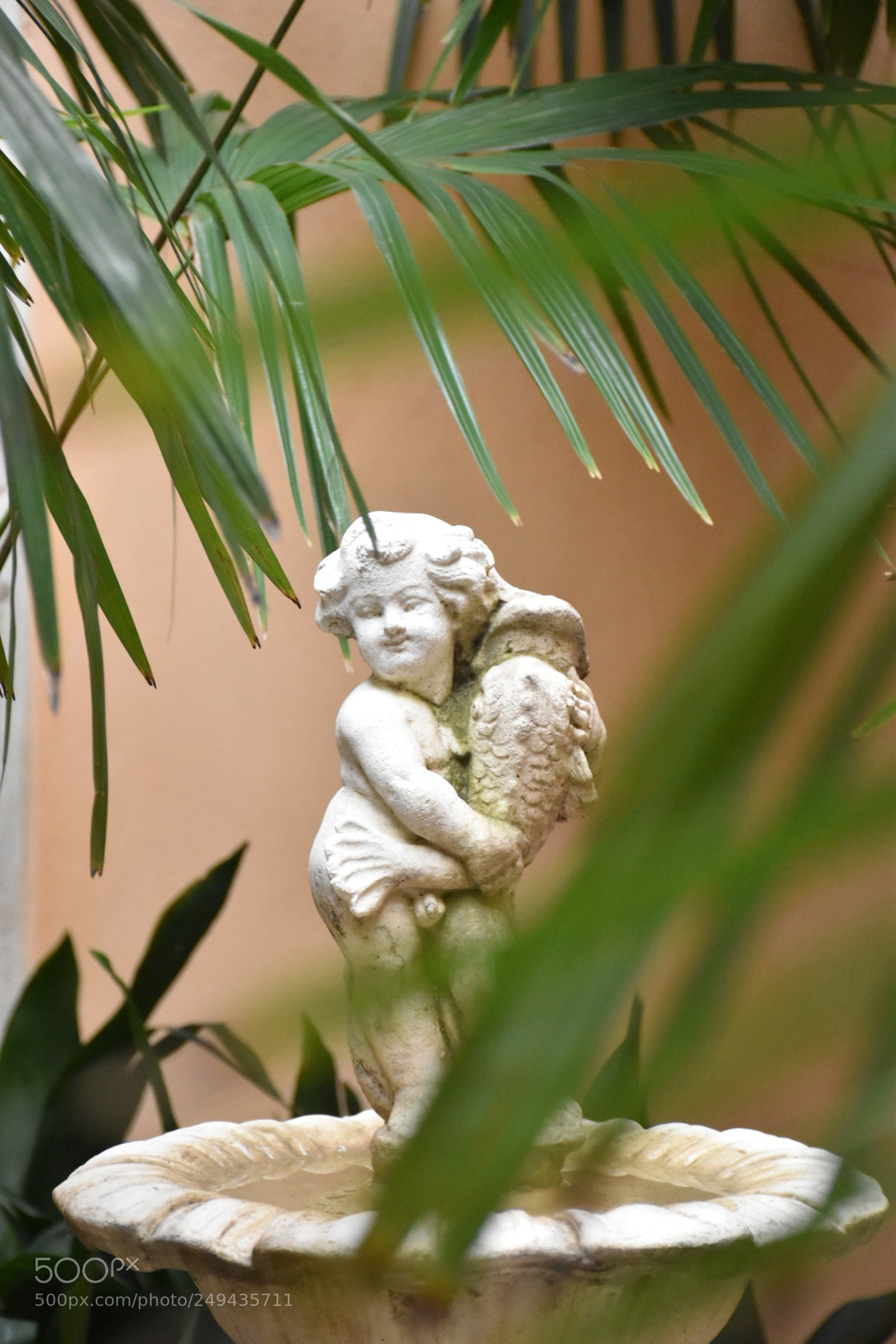 Nikon D5600 sample photo. Untitled photography