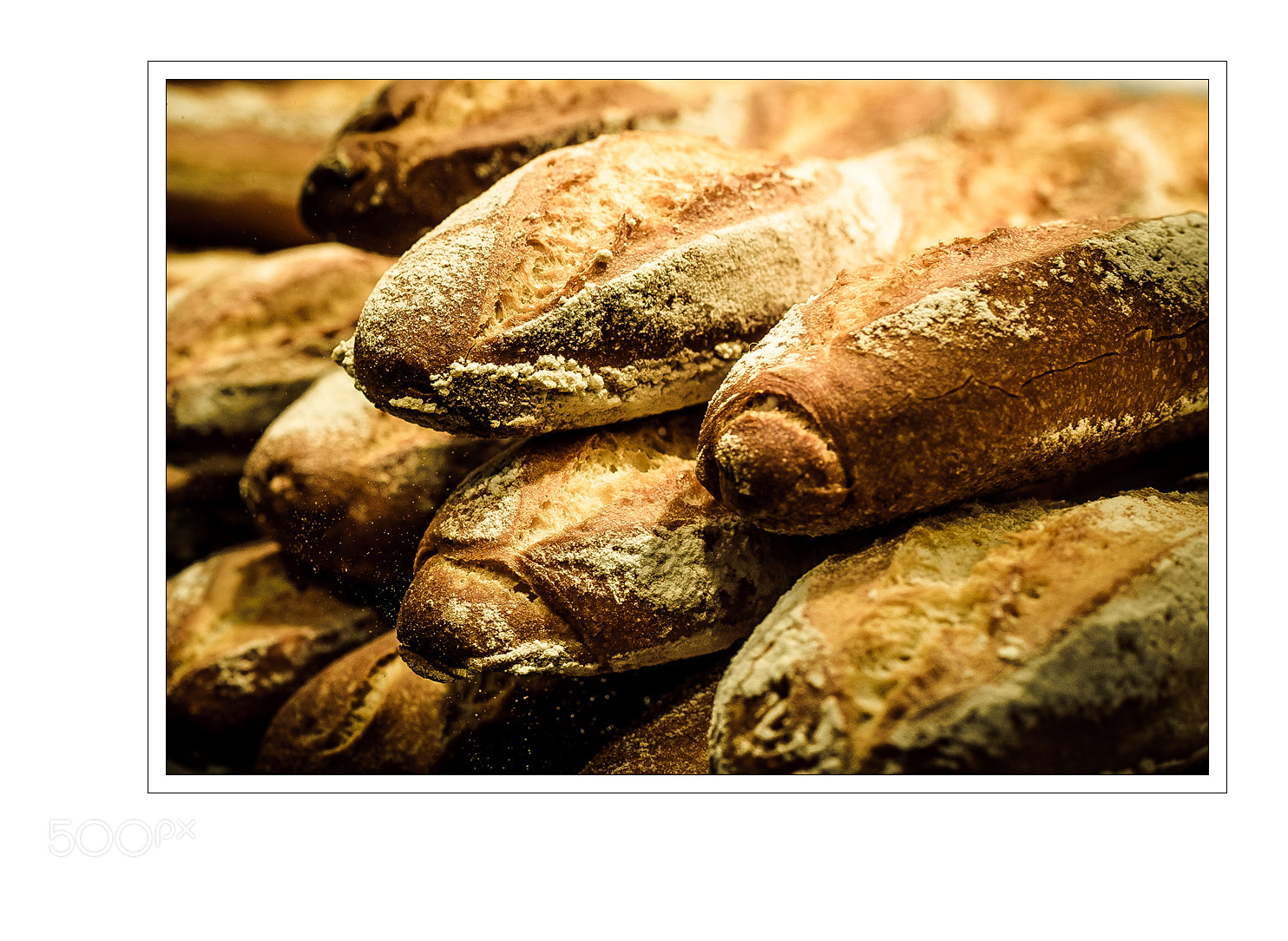 Nikon D5 sample photo. Crunchy photography