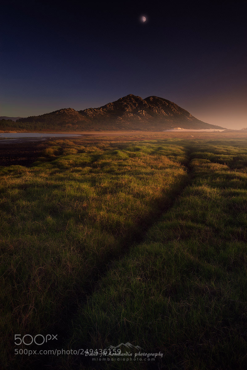 Sony a7R sample photo. Twilight photography