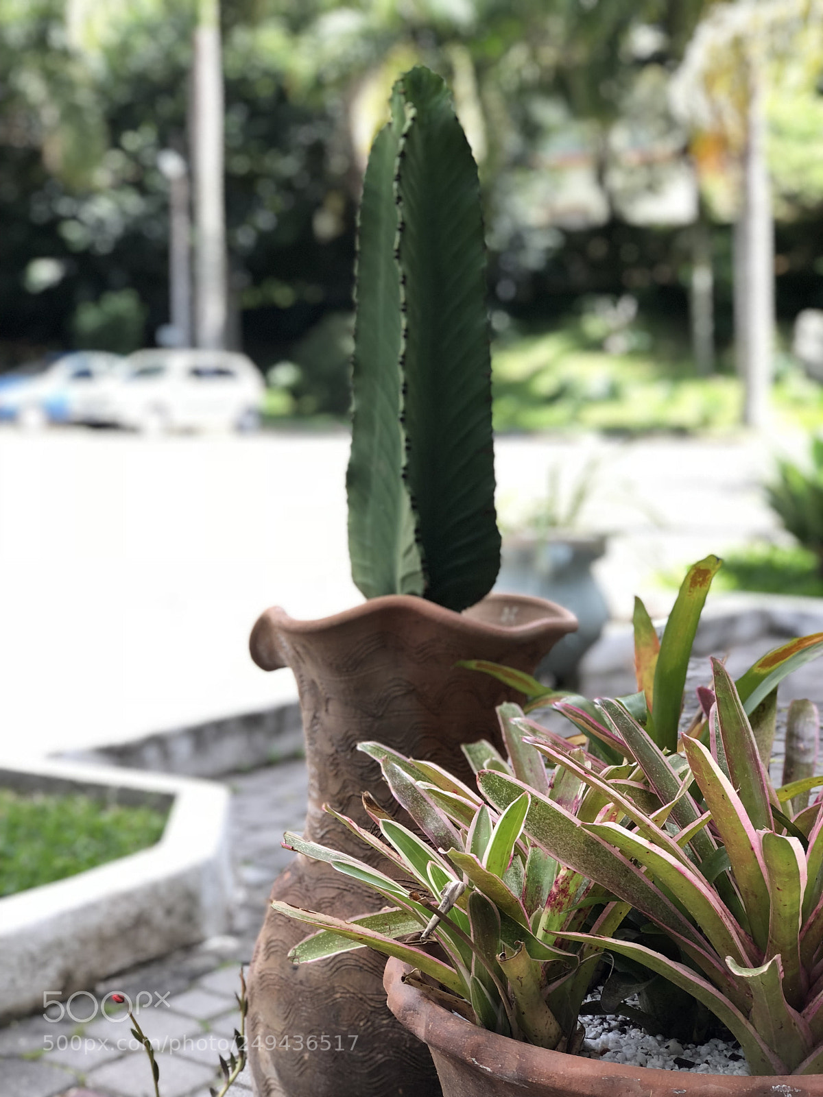 Apple iPhone 8 Plus sample photo. Acampamento paraíso! photography
