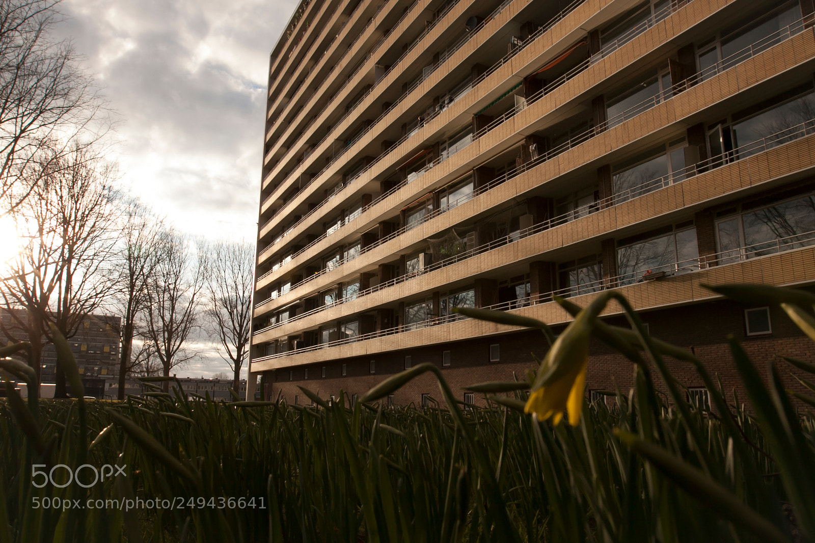 Canon EOS 50D sample photo. Img photography