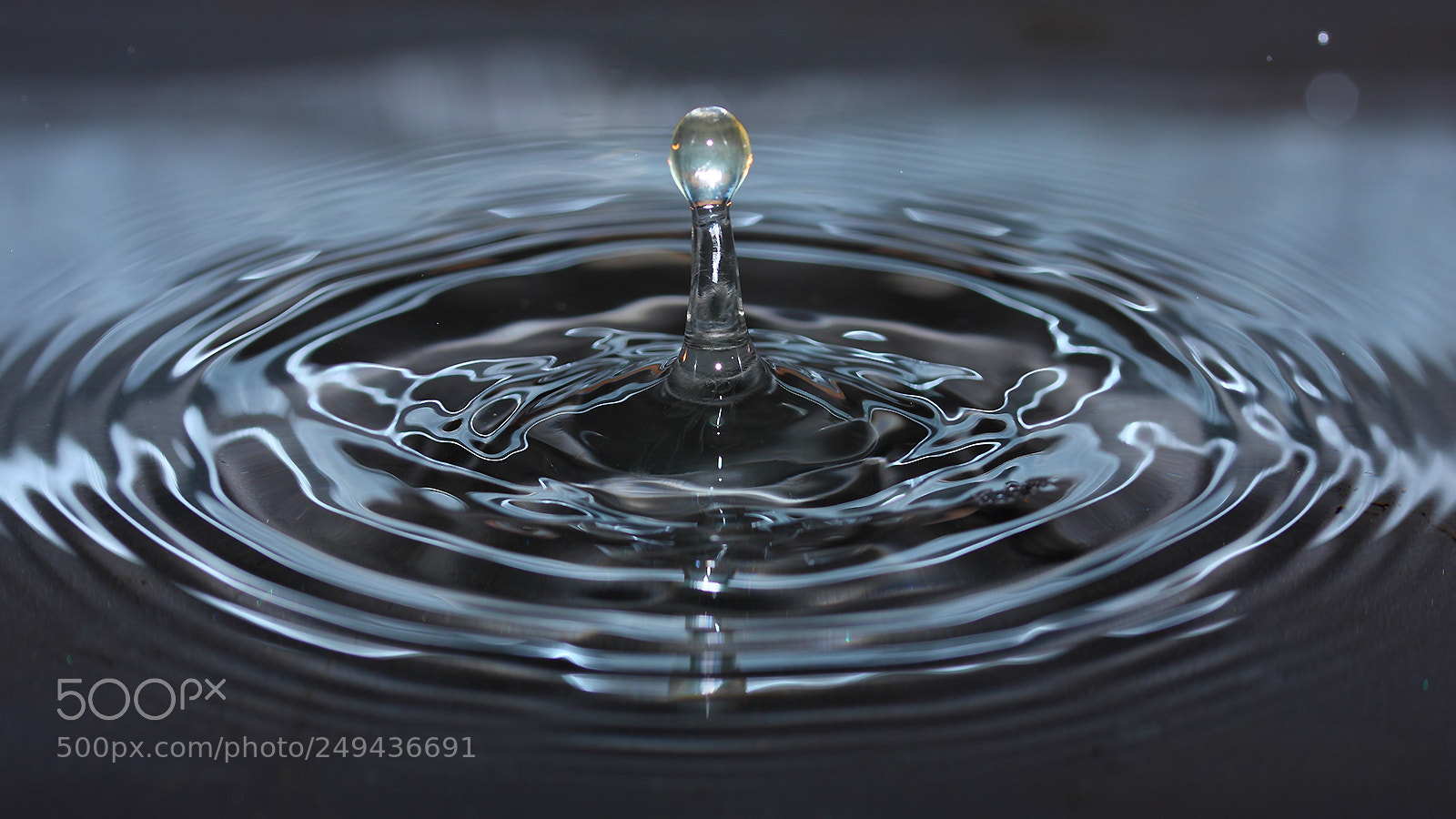 Canon EOS 550D (EOS Rebel T2i / EOS Kiss X4) sample photo. Water splashes photography