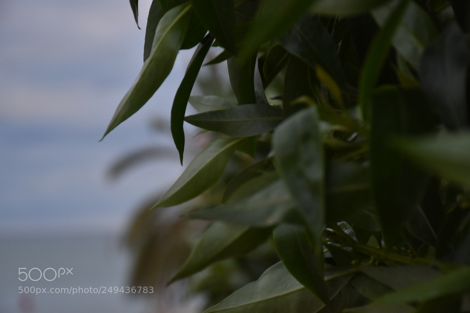Nikon D5600 sample photo. Untitled photography
