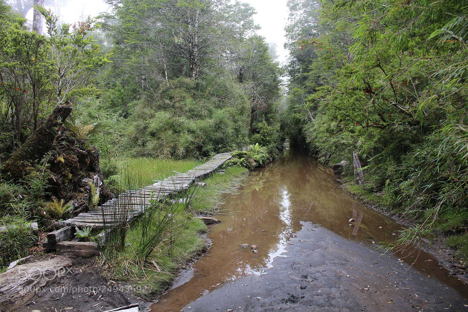 Canon EOS 700D (EOS Rebel T5i / EOS Kiss X7i) sample photo. Camino al lago cabrera photography