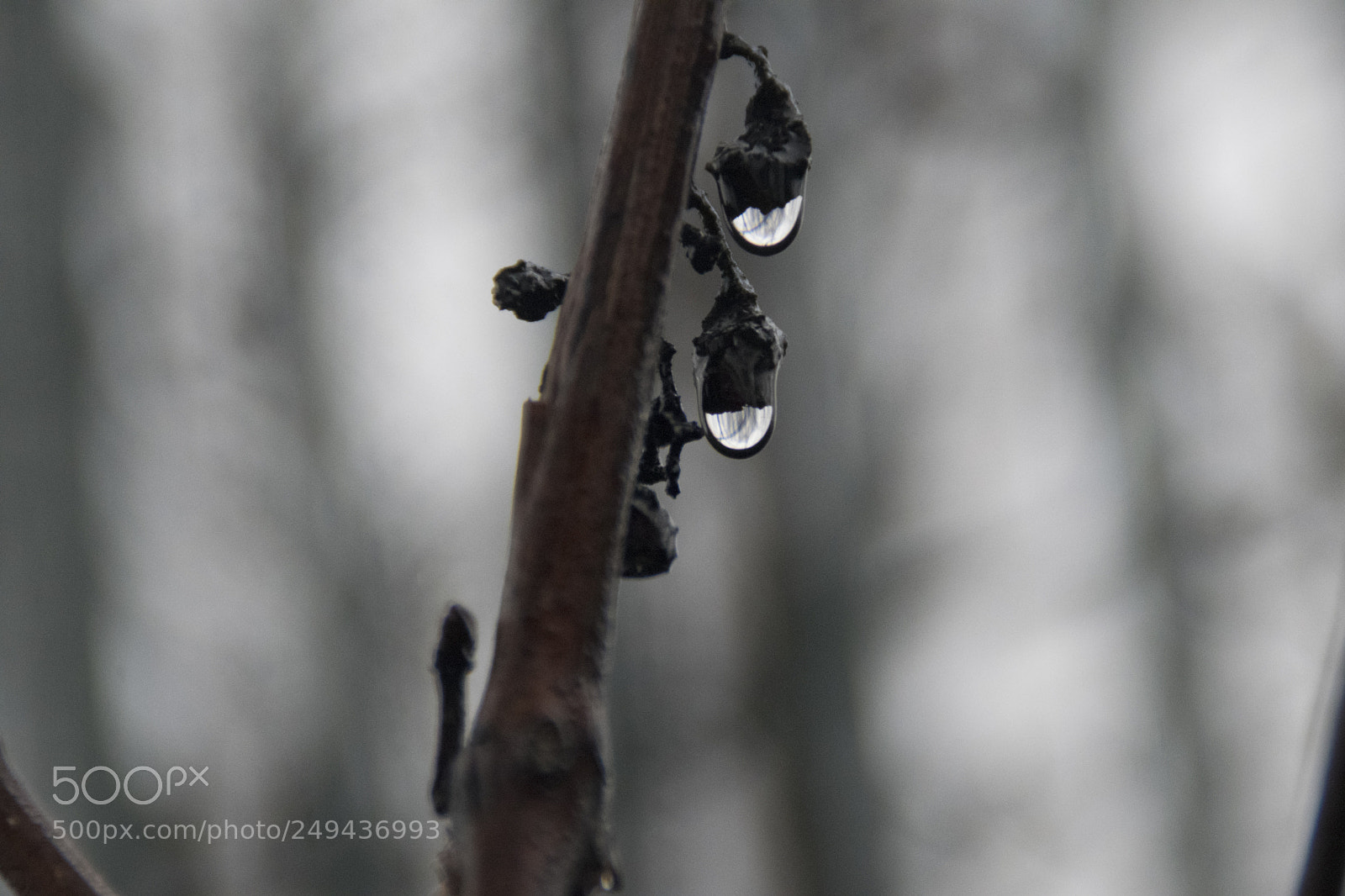 Nikon D3300 sample photo. Waiting for the sun... photography