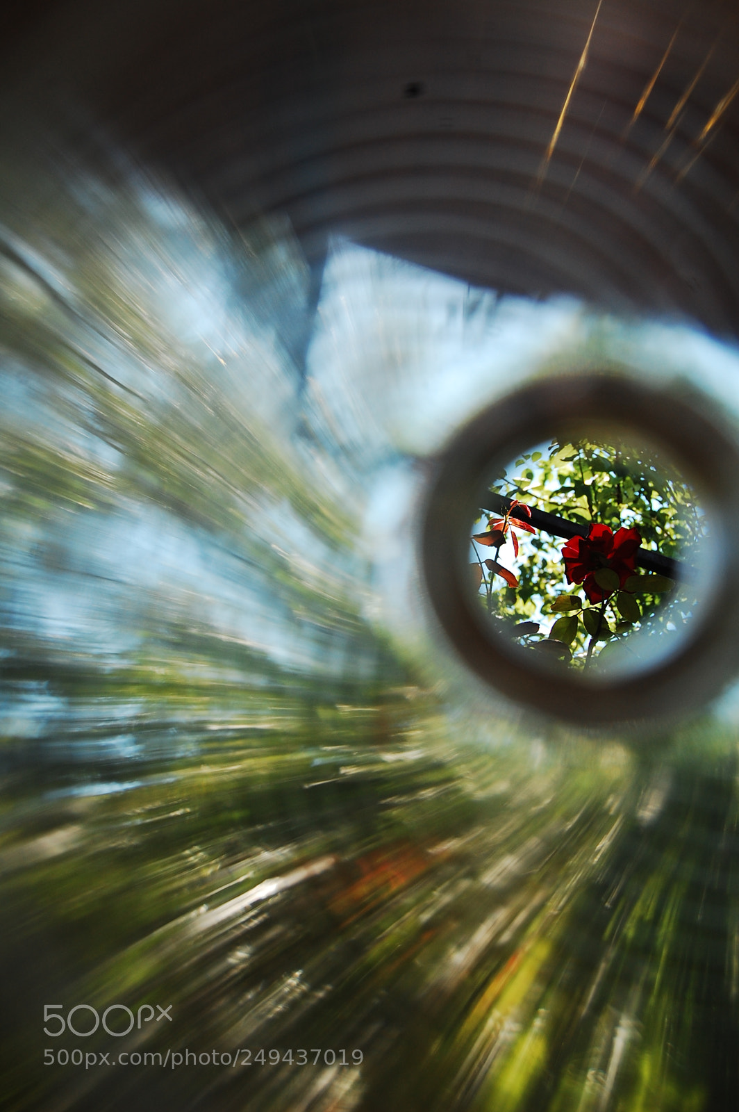 Nikon D40 sample photo. [] photography