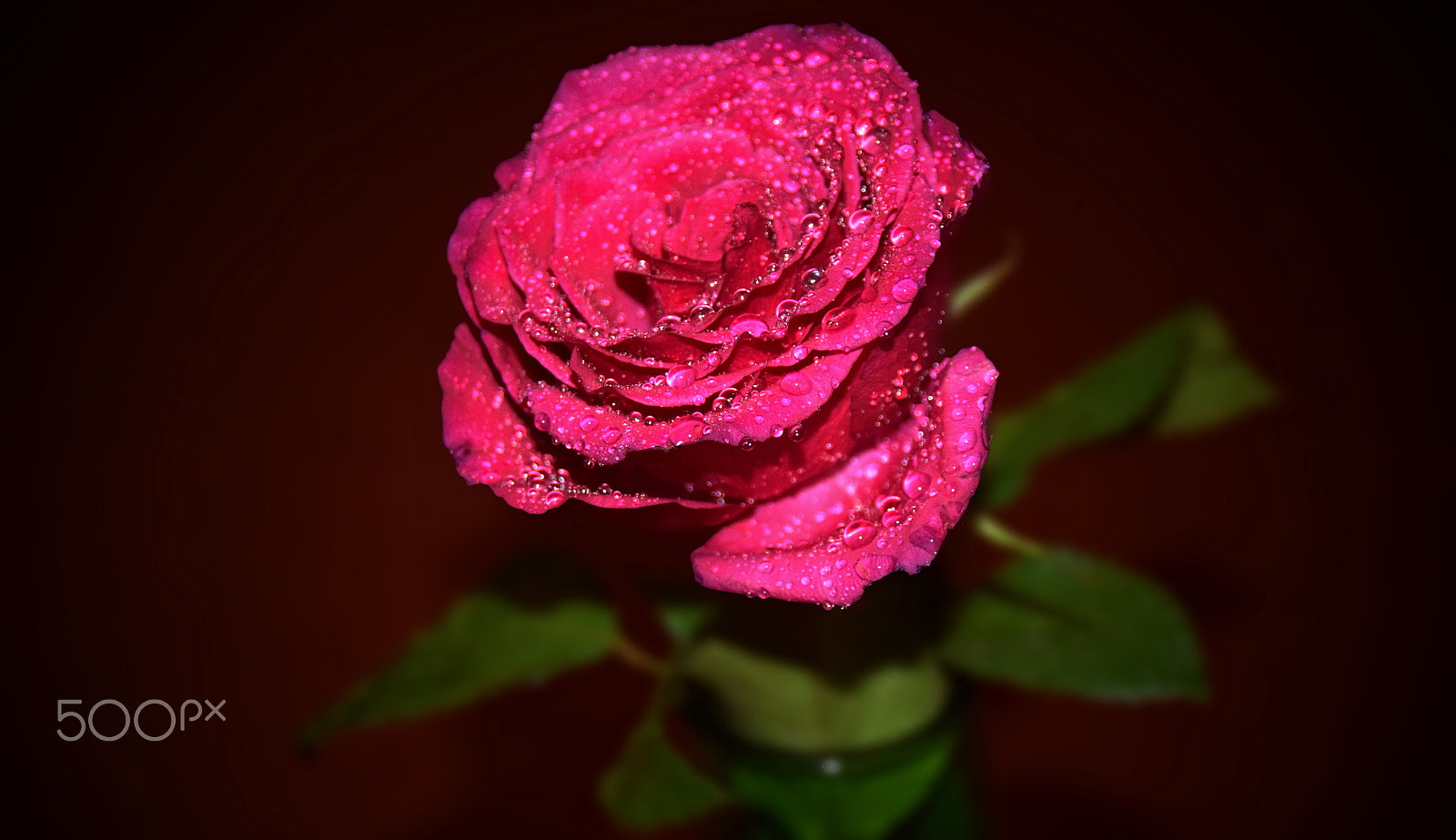 Sigma 18-250mm F3.5-6.3 DC Macro OS HSM sample photo