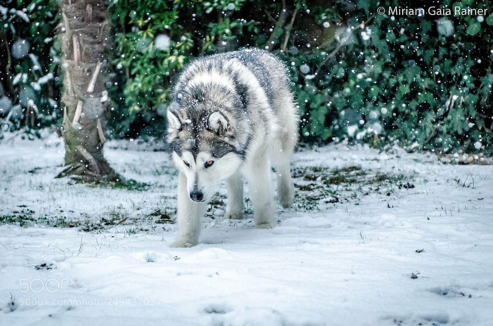 Nikon D7000 sample photo. Let's pretend i'm a photography