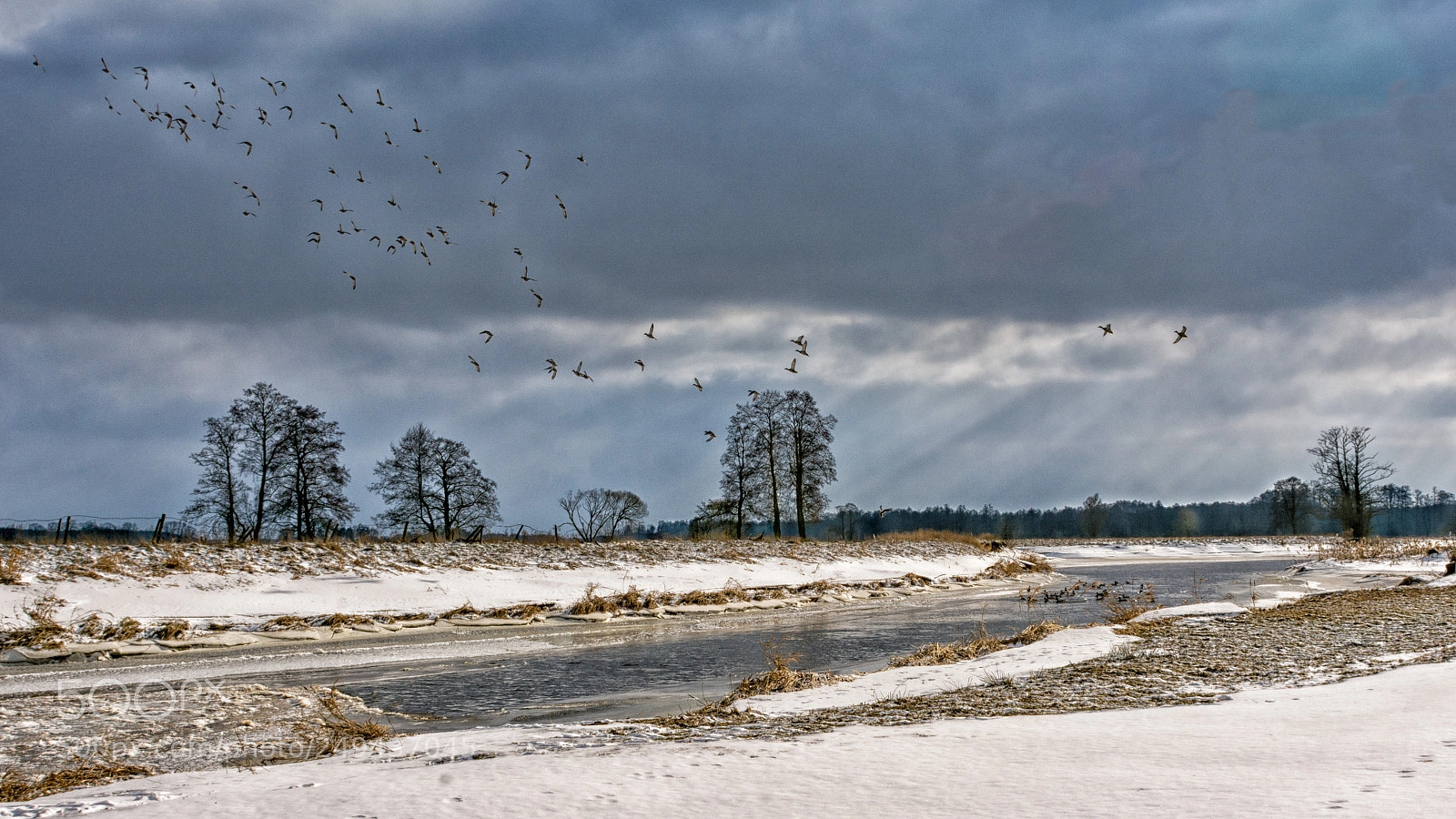 Nikon D7200 sample photo. Liwiec photography