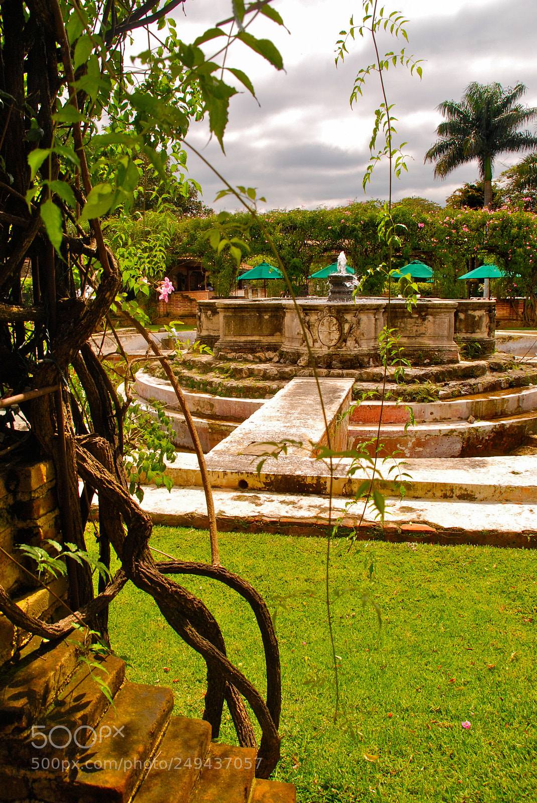 Nikon D80 sample photo. The fountain photography