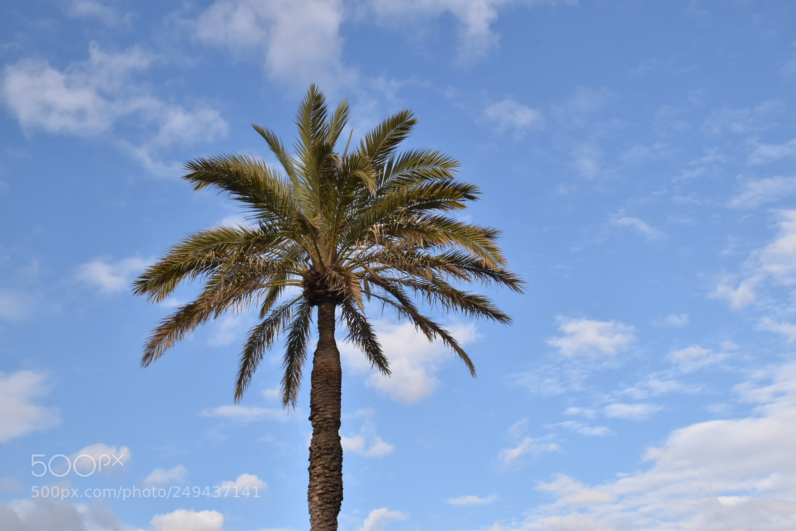 Nikon D5600 sample photo. Untitled photography