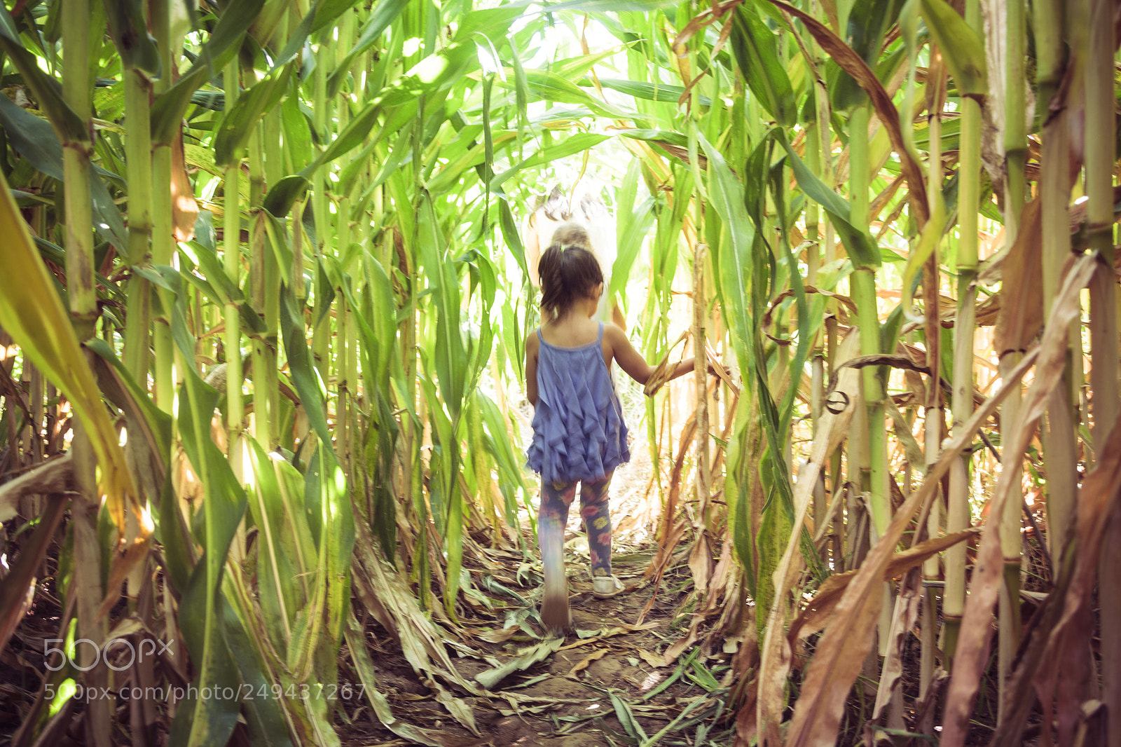 Nikon D5300 sample photo. Lost in the maze photography