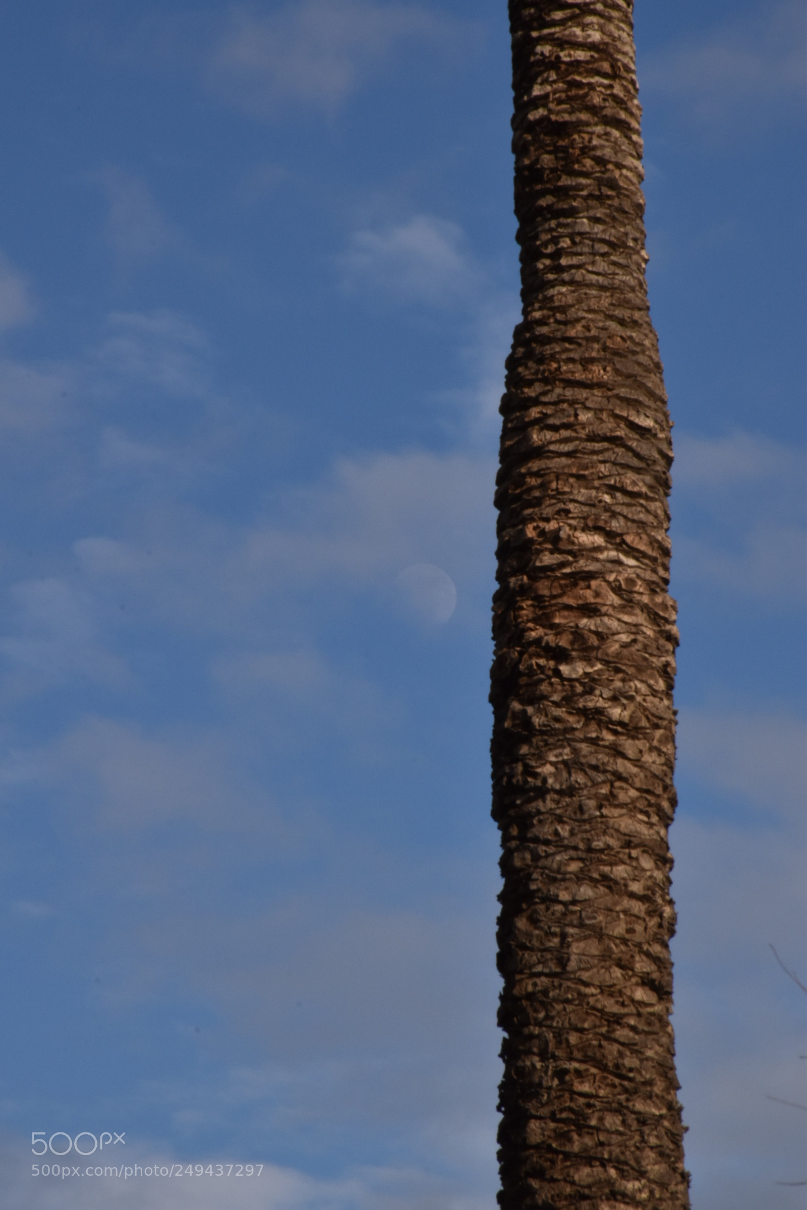 Nikon D5600 sample photo. Untitled photography