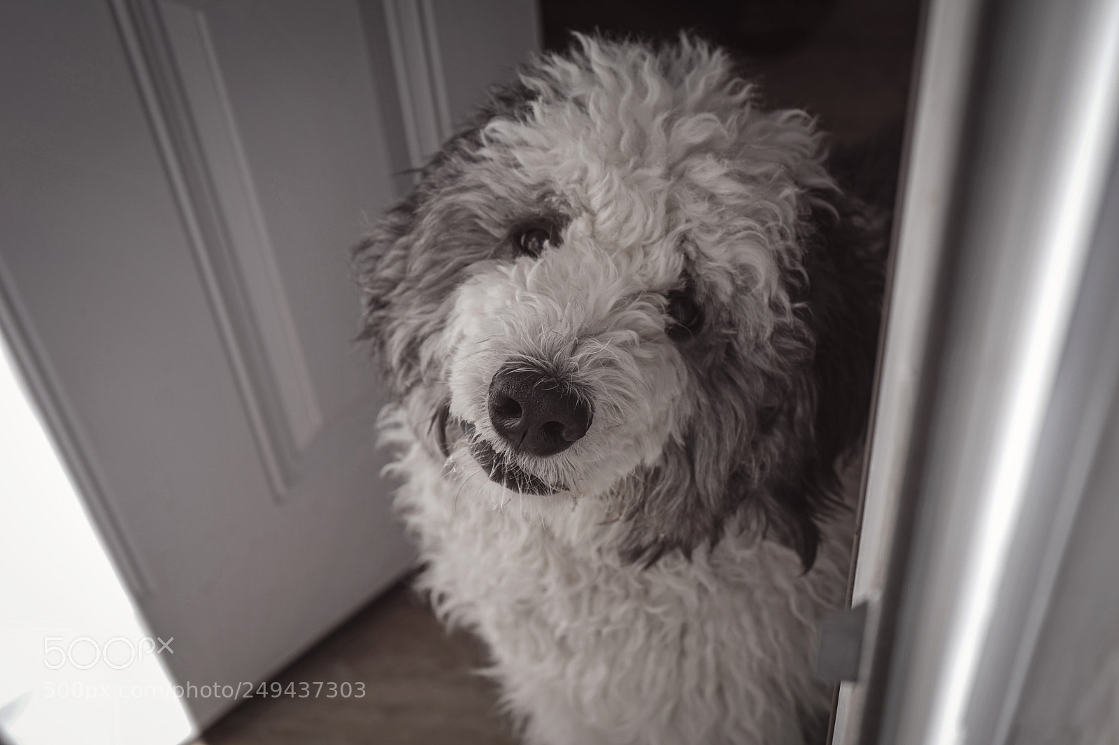 Sony a7 sample photo. Love photography