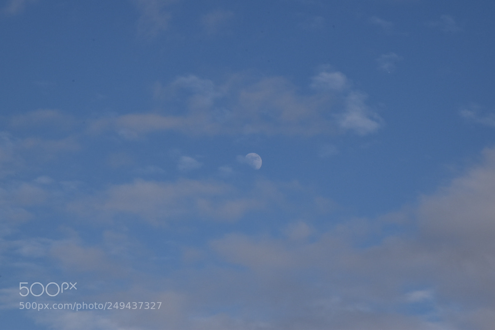 Nikon D5600 sample photo. Untitled photography