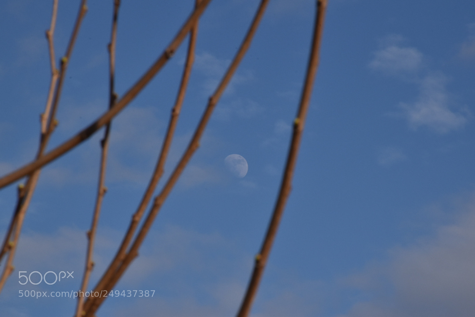 Nikon D5600 sample photo. Untitled photography