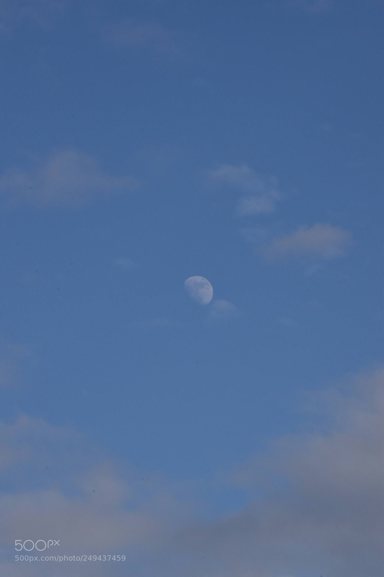 Nikon D5600 sample photo. Untitled photography