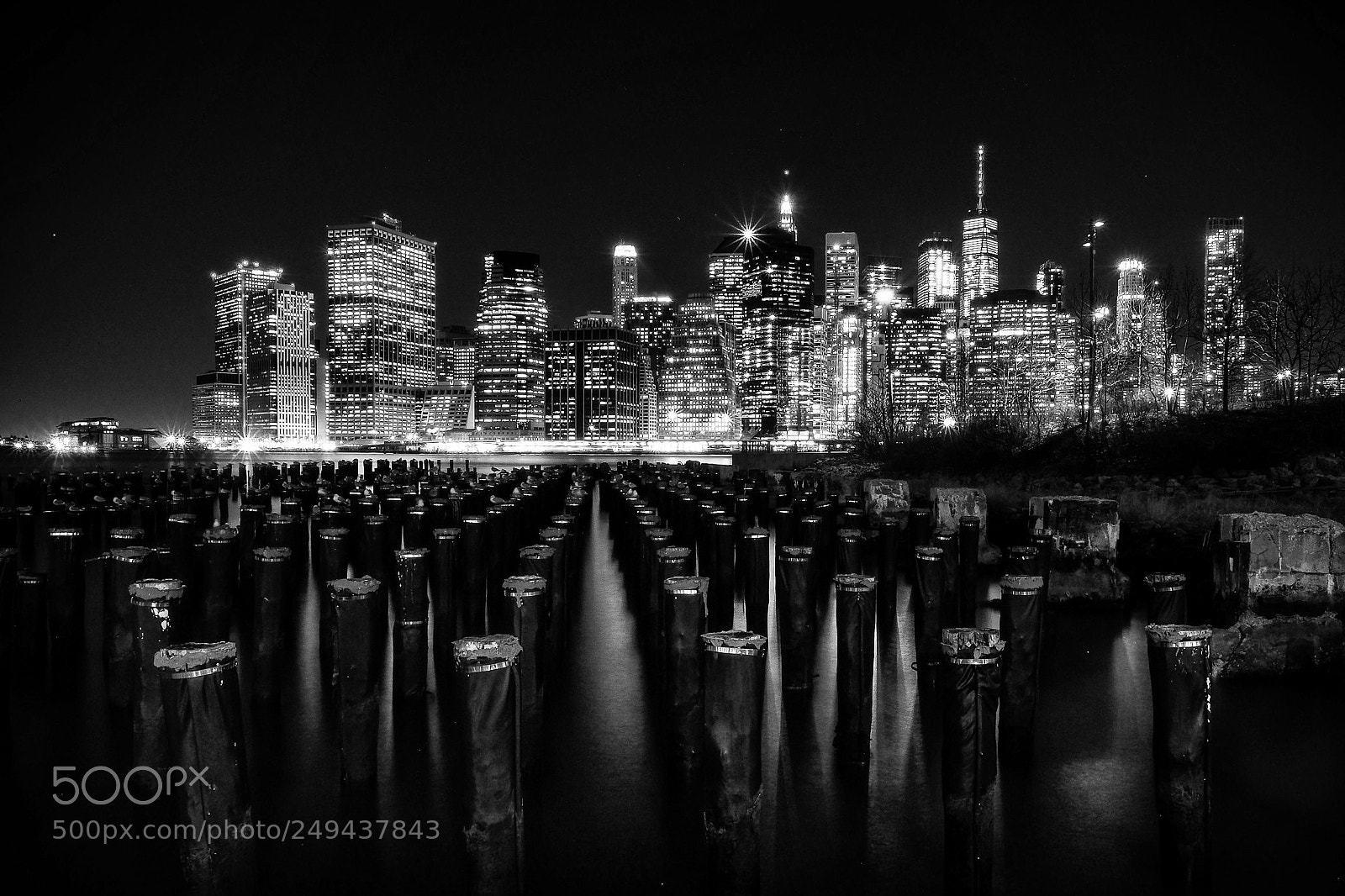 Olympus OM-D E-M1 Mark II sample photo. Brooklyn park photography