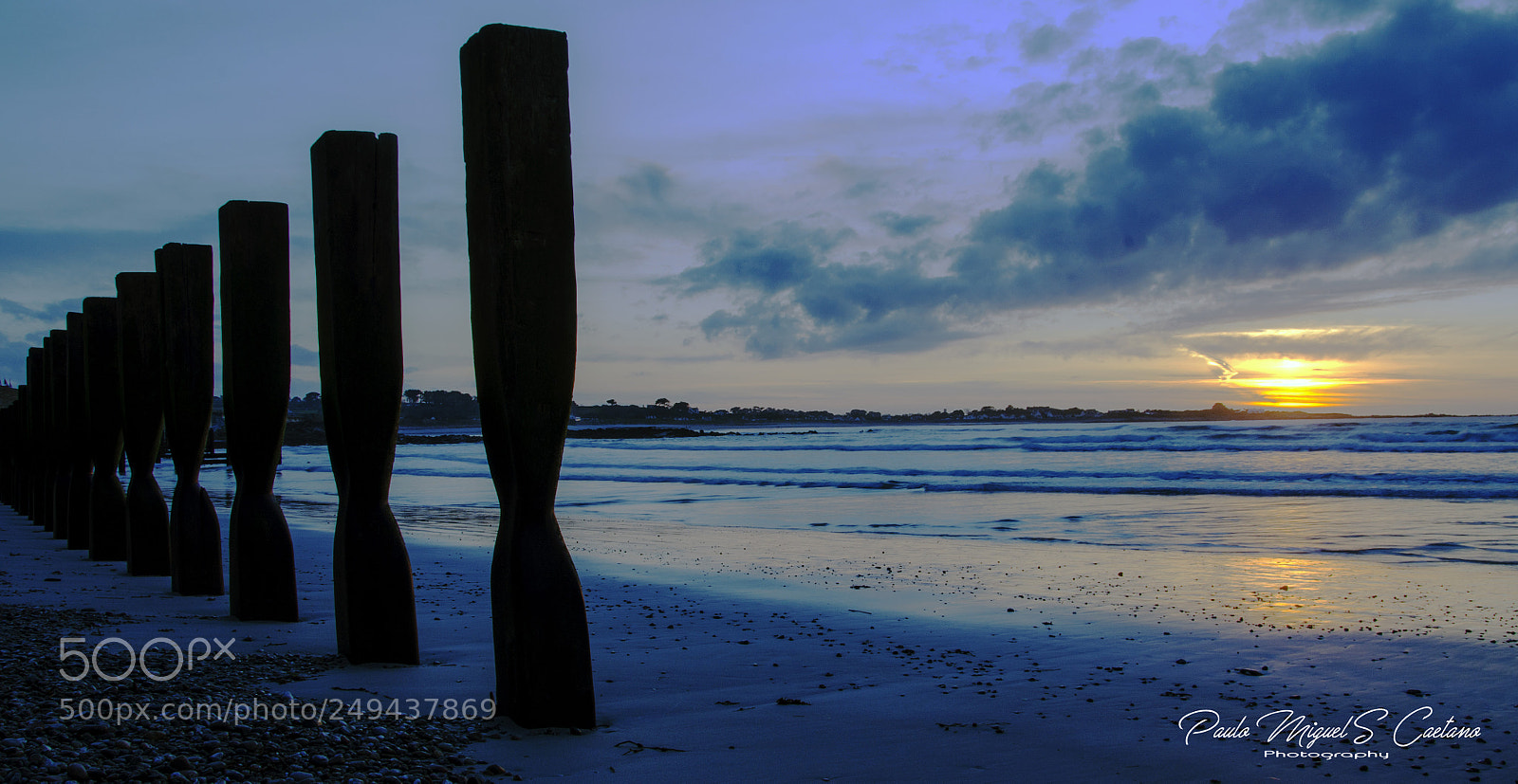 Nikon D7000 sample photo. Pmc photography