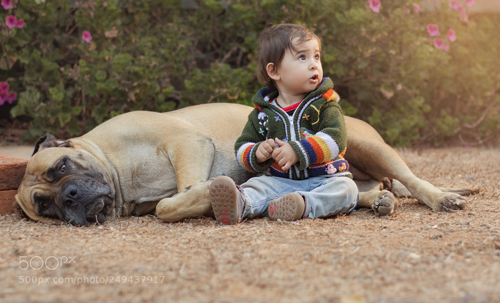 Nikon D7100 sample photo. Emilio & emperador photography
