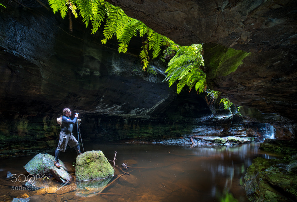 Pentax K-1 sample photo. Bors, doing what he photography