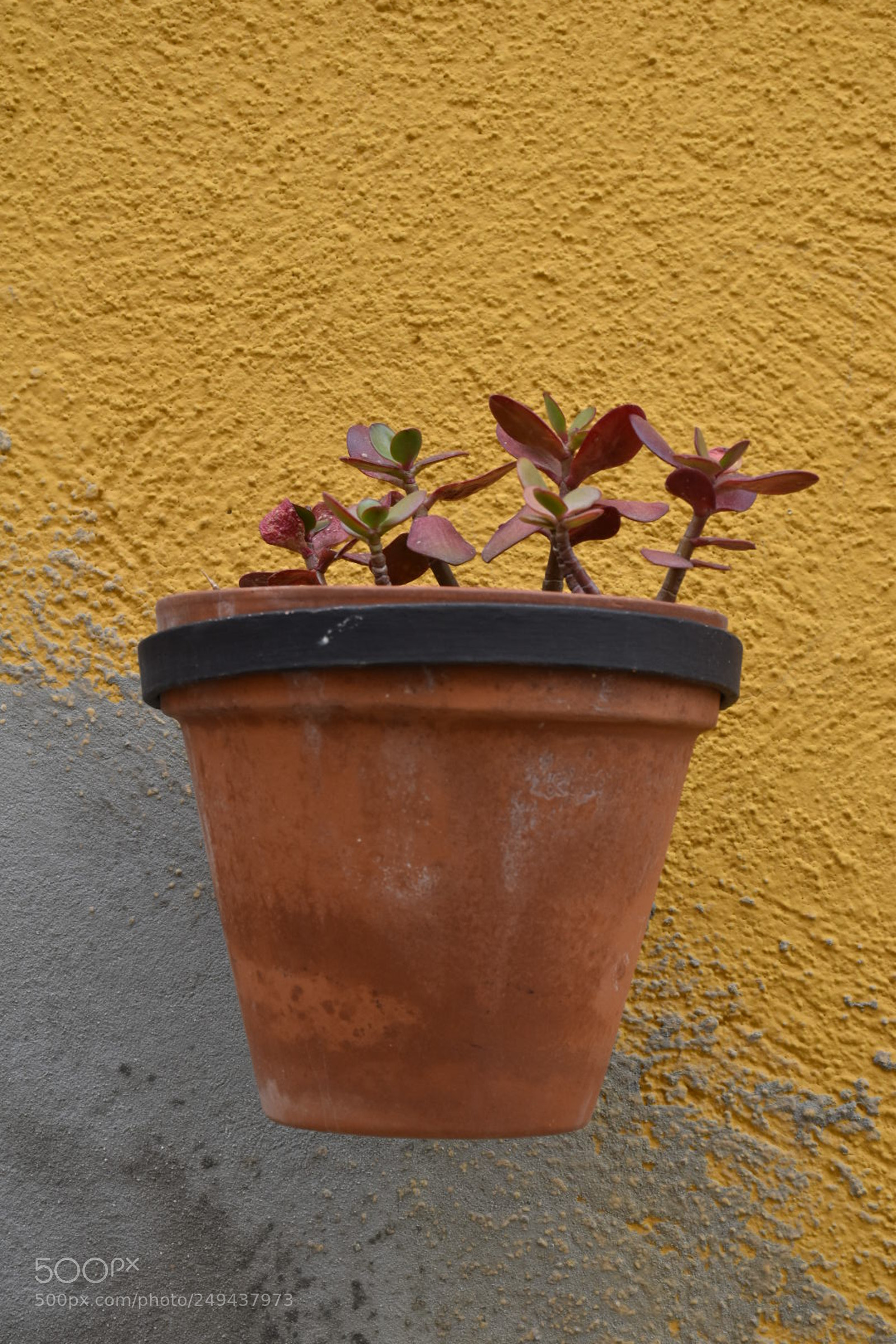 Nikon D5600 sample photo. Untitled photography