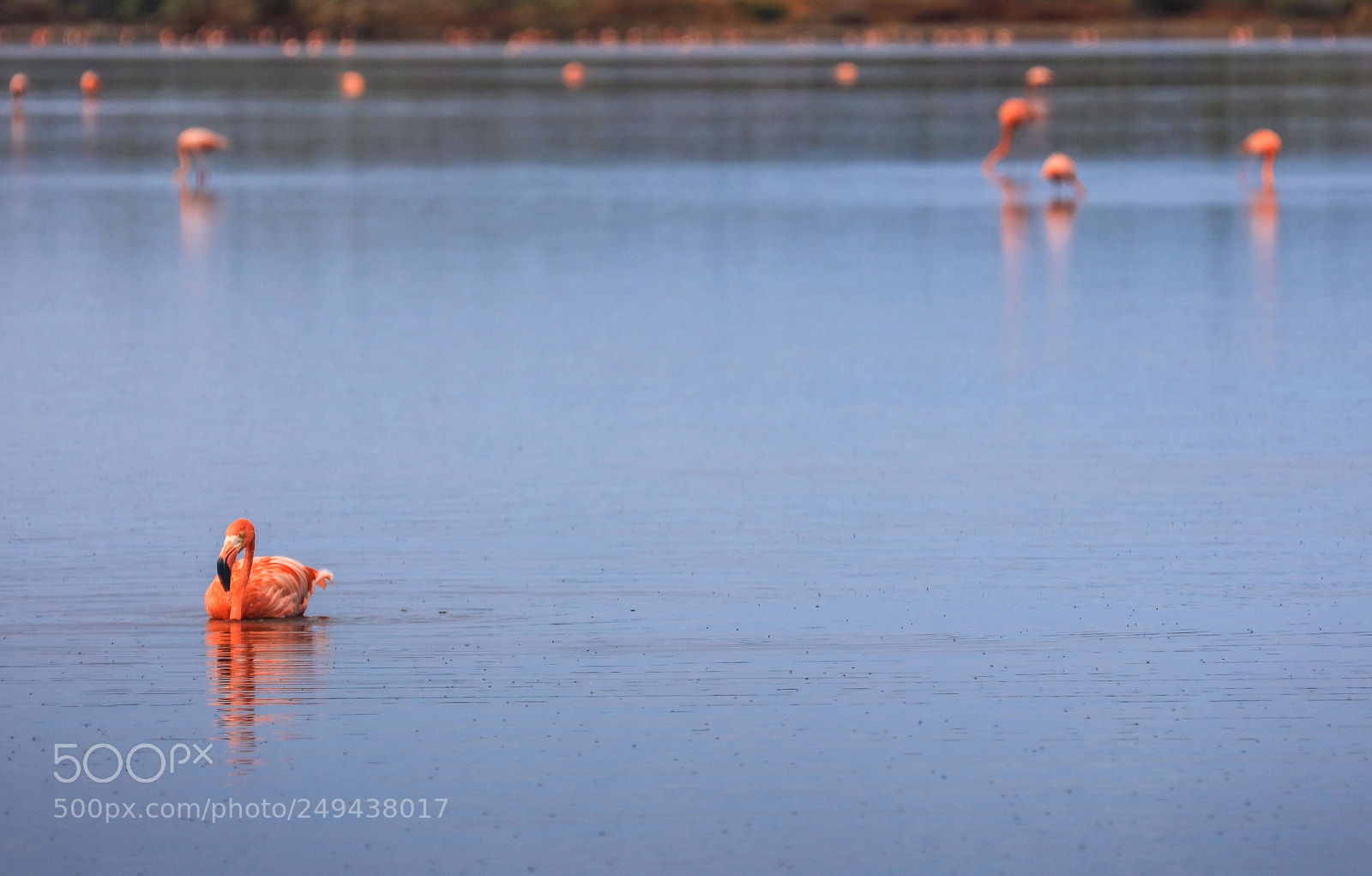 Canon EOS 5DS R sample photo. 171a8164-37.jpg photography