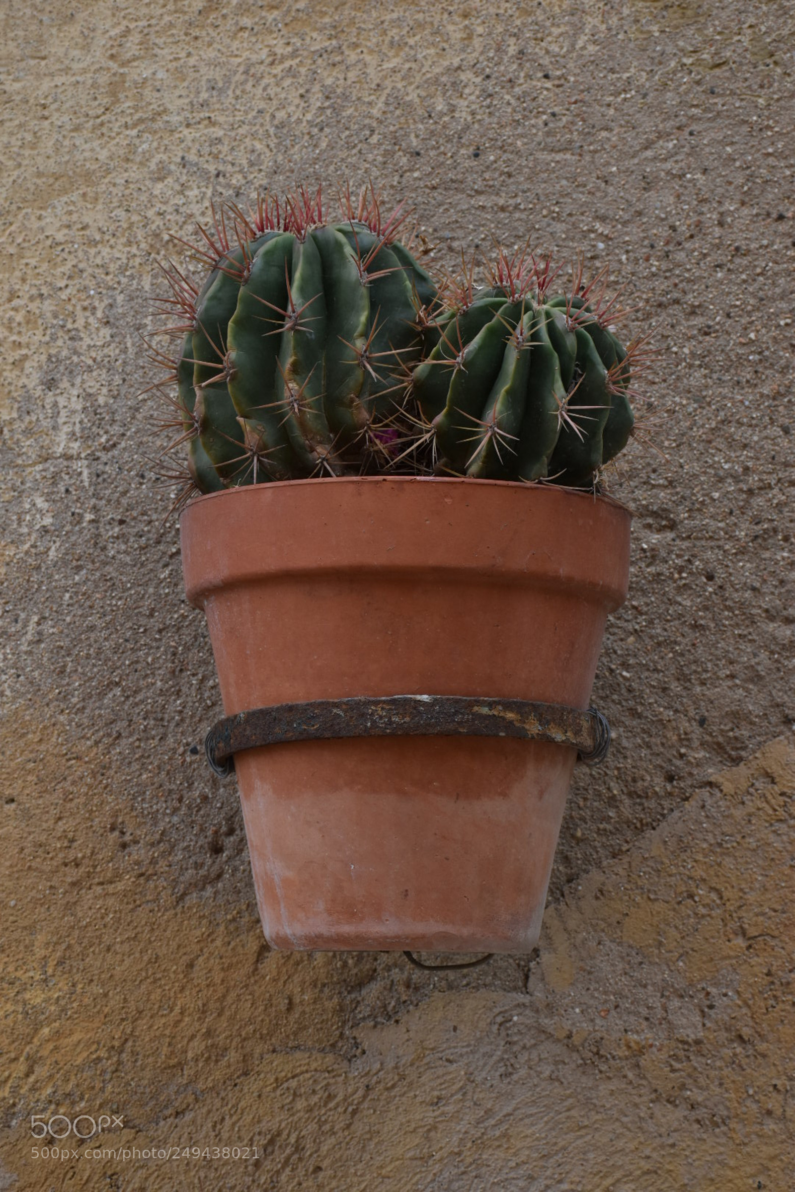 Nikon D5600 sample photo. Untitled photography