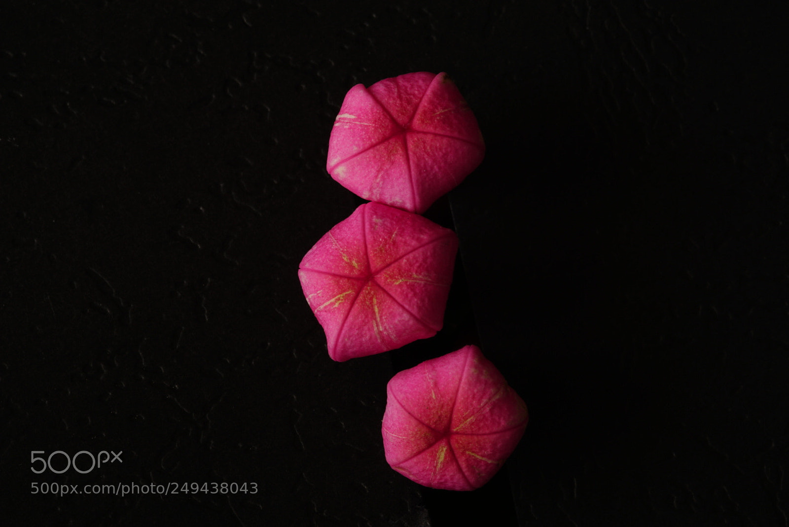Sony ILCA-77M2 sample photo. Simply red photography