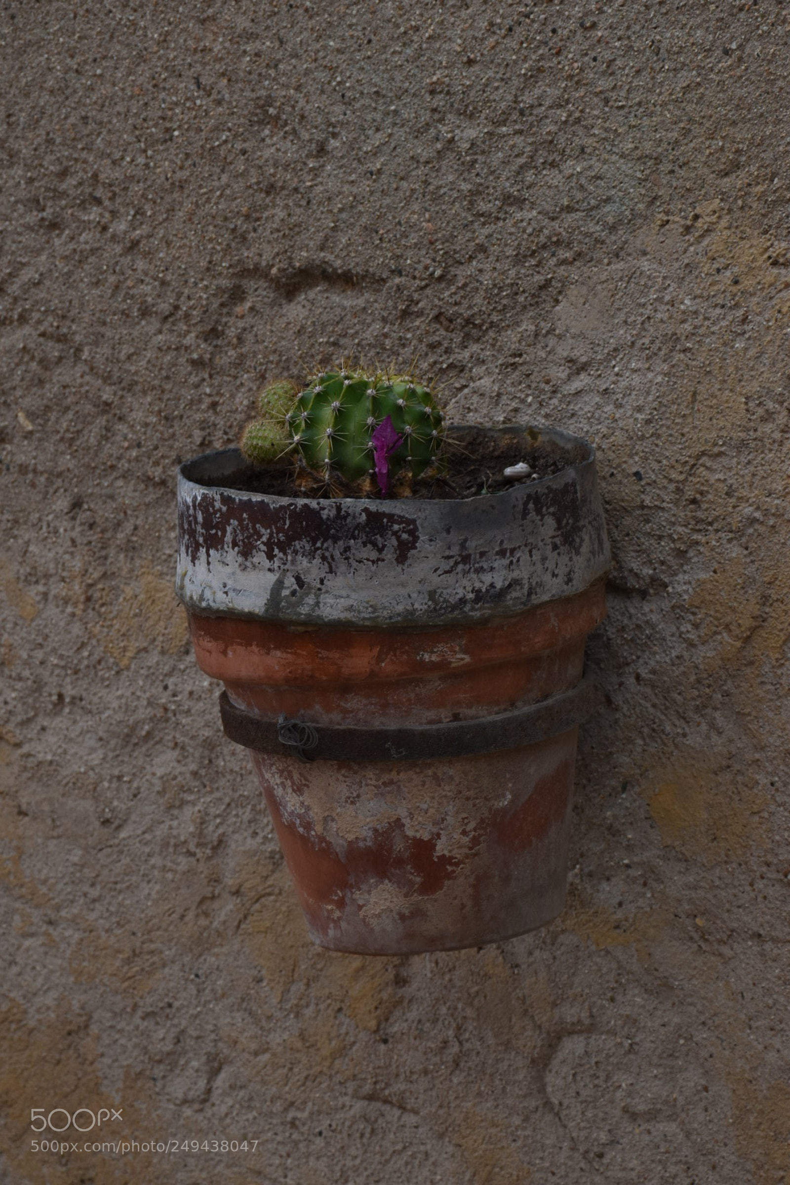 Nikon D5600 sample photo. Untitled photography