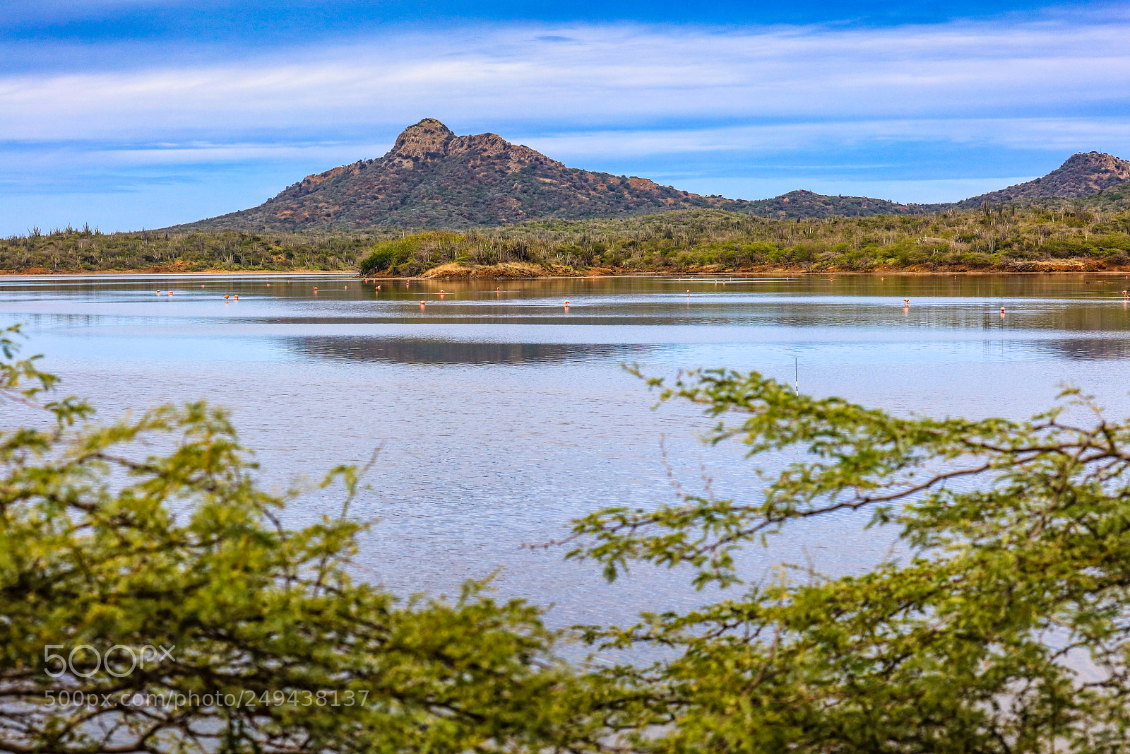 Canon EOS 5DS R sample photo. 171a8168-1.jpg photography
