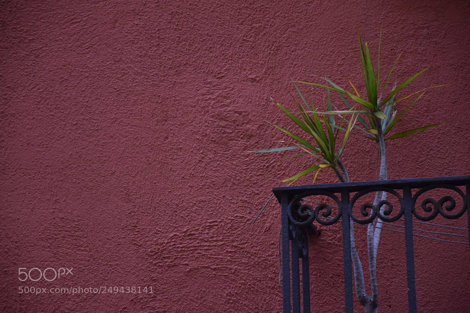 Nikon D5600 sample photo. Untitled photography