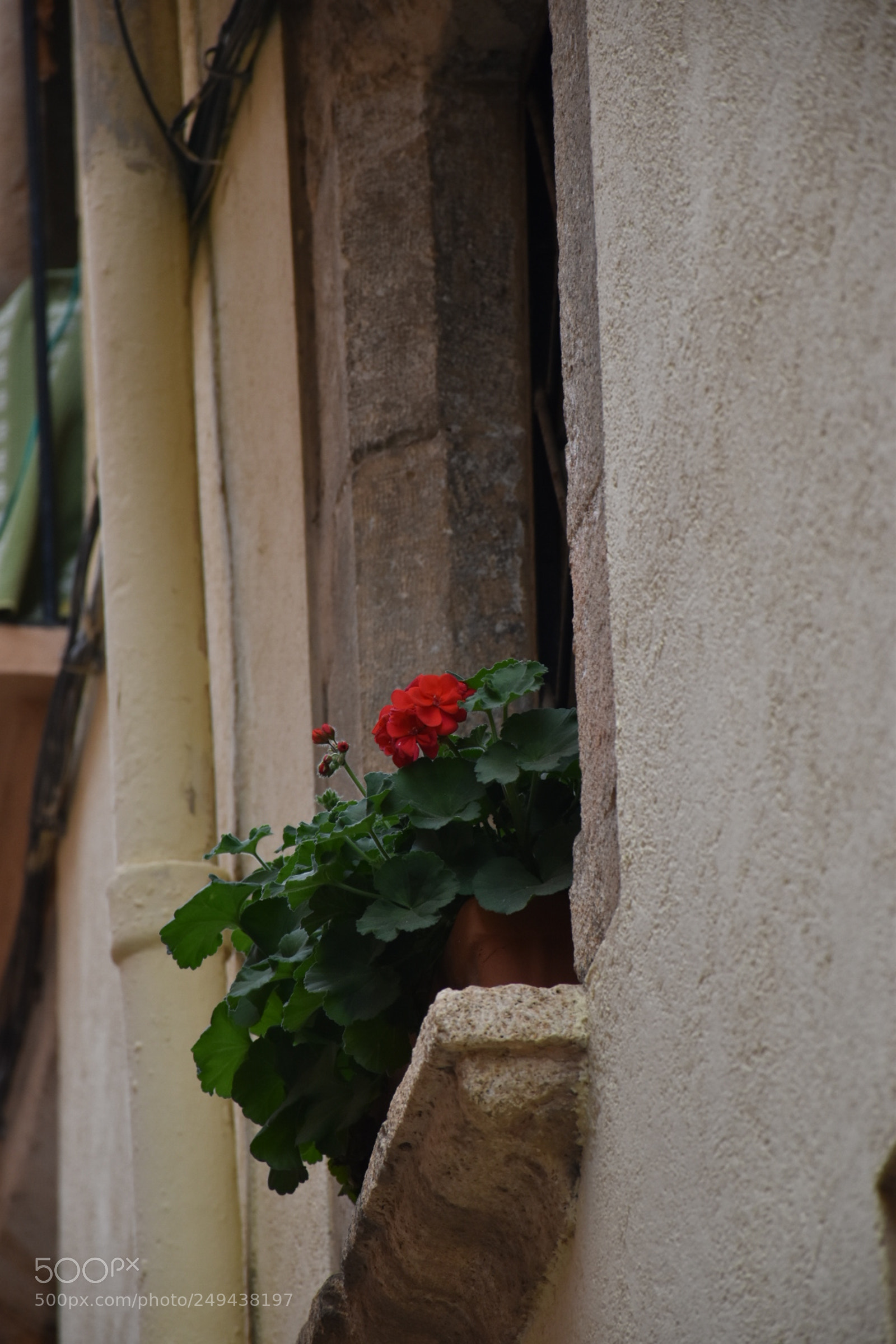 Nikon D5600 sample photo. Untitled photography