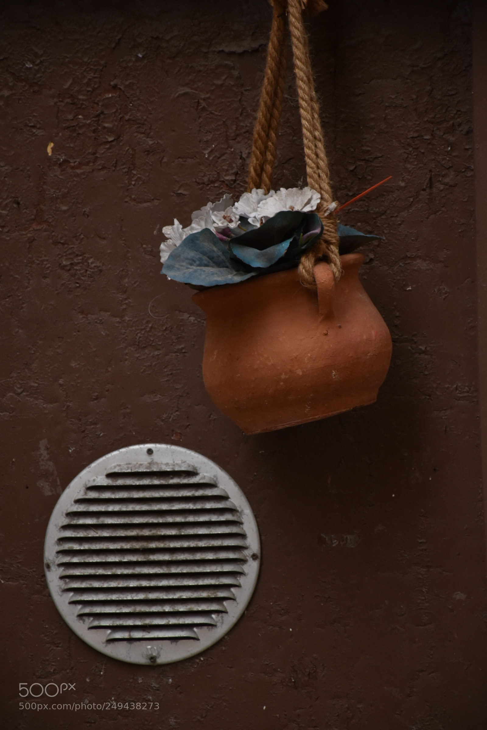Nikon D5600 sample photo. Untitled photography